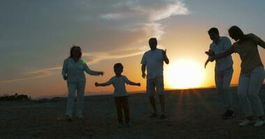 Happy big family enjoying evening on the beach video