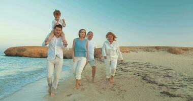 Happy moments of summer family vacation video