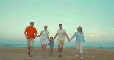 Bih happy family running on the beach video