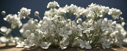 Gypsophila dry little white flowers light macro. AI generated photo