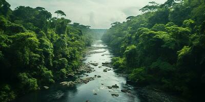 Generative AI, green beautiful amazonian jungle landscape with trees and river, drone view photo