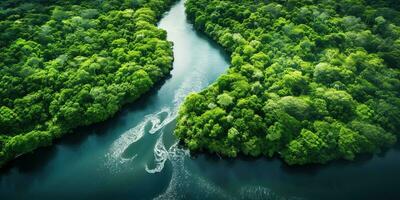 generativo ai, verde hermosa amazónico selva paisaje con arboles y río, zumbido ver foto