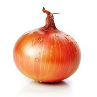 onion on white background. photo