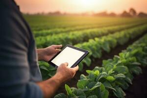Using tablet digital at agriculture field. Generate Ai photo
