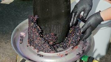 The process of making homemade grape wine. A winemaker collects grape pulp from a hydraulic press. video