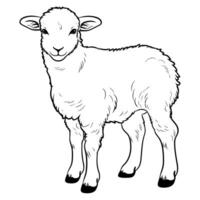 Cute sheep coloring page vector