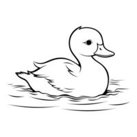 Duck coloring page vector