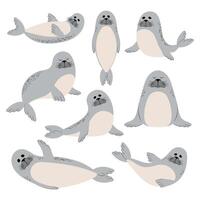 Seal. Set of animals. Illustration on a white background. vector