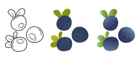 Set of blueberry vector illustrations in doodle, flat and 3D styles on a white background.