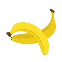 Two ripe yellow bananas on a white background. Vector illustration of ripe fruits.