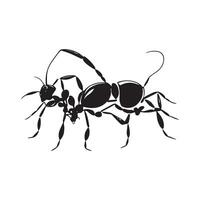 Vector image hand drawing Ant outline illustration