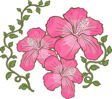 hibiscus pink flower and leaf vector