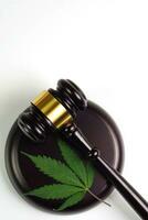 Cannabis leaf or marijuana leaf with judge hammer on white background. Law, judiciary concept. photo