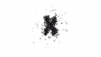 geanimeerd halloween lettertype gevormd van vliegend vleermuizen de karakter X met alpha video