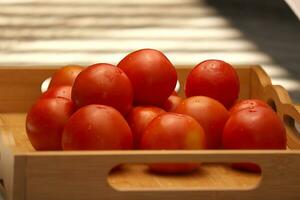 Tomatoes A Versatile Vegetable Choice photo