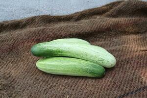 cucumbers on the floor photo