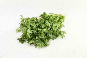 green coriander in white background photo