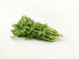 green coriander in white background photo