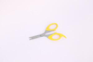 This is a small Scissor photo