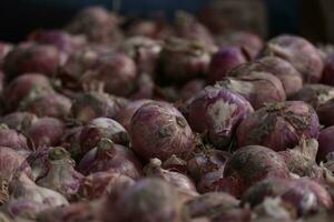 This is a Close up view of Indian Onion photo