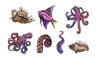 Seashells,  octopus, tropical fish, octopus tentacle color vector set. Hand drawn sketch illustration. Collection of realistic ocean creatures  isolated on white background.