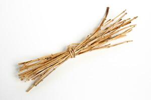 Cogon grass rumput alang-alang on the white background photo