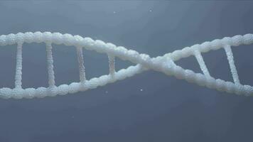 dna strengen in beweging in een glad looping beweging, naadloos looping animatie van roteren. video