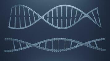 dna strengen in beweging in een glad looping beweging, naadloos looping animatie van roteren. video