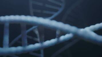 DNA Stränge ziehen um im ein glatt Schleifen Bewegung, nahtlos Schleifen Animation von rotierend. video
