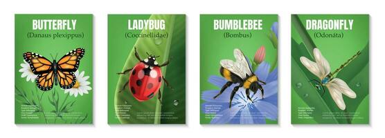 Realistic Nature Insects Posters vector