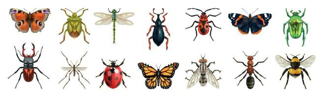 realista insectos icono conjunto vector