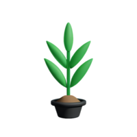 herbes 3d le rendu icône illustration png