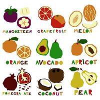 un conjunto de estilizado geométrico frutas en todo y en sección con el nombre. natural orgánico tropical productos brillante impresión en tienda de comestibles productos a indicar gusto. vector plano ilustración