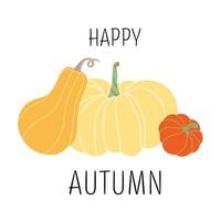 Happy autumn card. Hand drawn pumpkins on white background. Vector harvest, autumn design element for poster, banner, badge, label, print, card