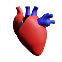 human real heart 3d rendering icon illustration png