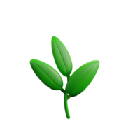 herbes 3d le rendu icône illustration png