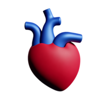 menselijk echt hart 3d renderen icoon illustratie png