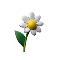 jasmine flower 3d rendering icon illustration png