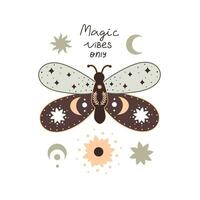 Cartoon butterfly, decor elements vector