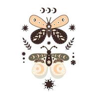 Illustration with butterflies vector