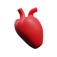 human real heart 3d rendering icon illustration png