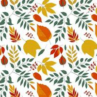 Autumn leafs seamless pattern photo