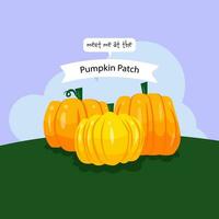 meet me at the pumpkin patch vector