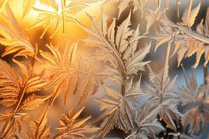 Intricate frost patterns on winter windowpanes beautifully highlighted in morning sunlight photo