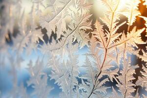 Intricate frost patterns on winter windowpanes beautifully highlighted in morning sunlight photo