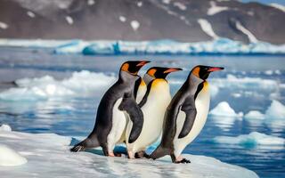 Heartwarming Photograph of an Adorable Family of Penguins Huddled Closely Together on Glistening Antarctic Ice, Symbolizing Unity, Resilience, and the Wonders of Polar Wildlife. AI Generated photo