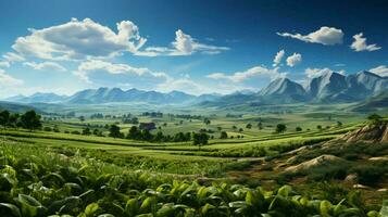 Green field with plants in beds. Ecological farming concept photo