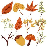 ilustración de hojas de otoño vector