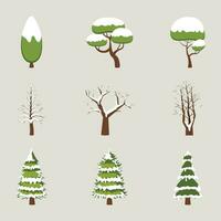 Winter or Christmas trees set with snow. various christmas trees. vector