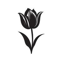 tulip silhouette Vector